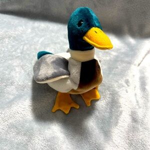 🦆 TY Beanie Baby “Jake” the Duck (1998) – Tag Error, Great Colors